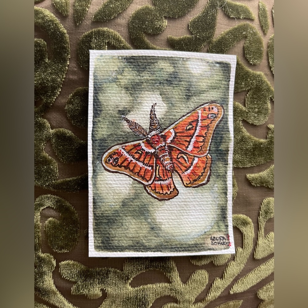 Butterfly original mixed media watercolor gouache cottagecore academia wall art